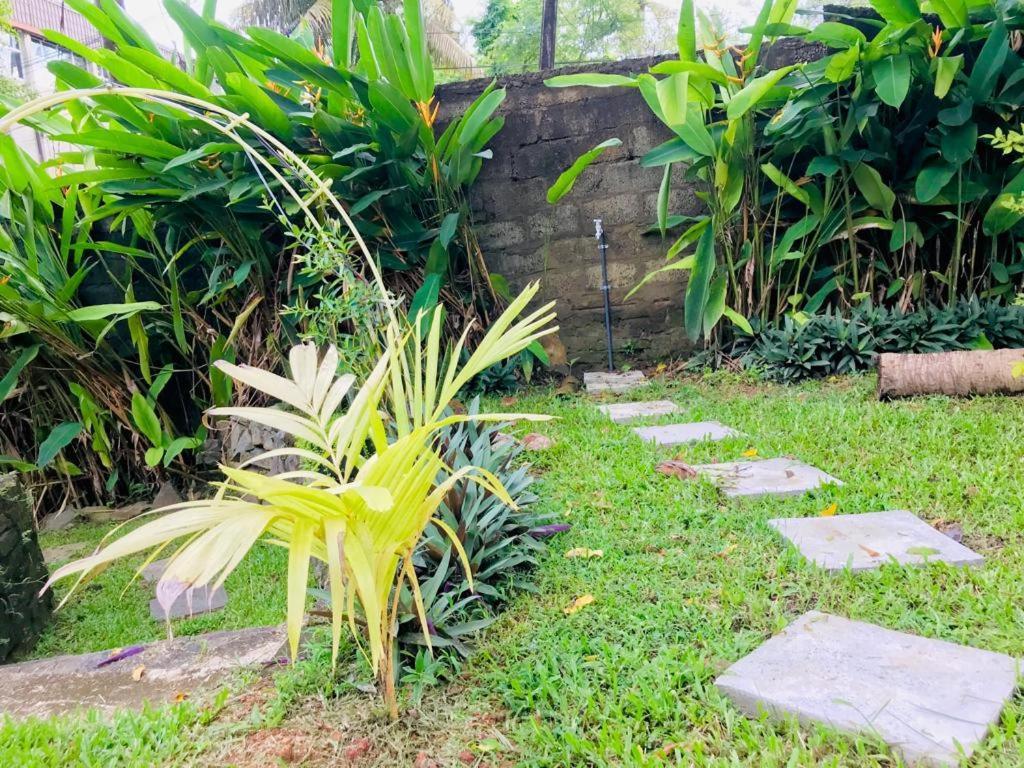 Freedom192 Hotel Weligama Bagian luar foto