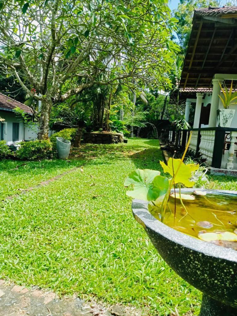 Freedom192 Hotel Weligama Bagian luar foto