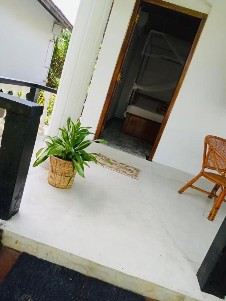Freedom192 Hotel Weligama Bagian luar foto