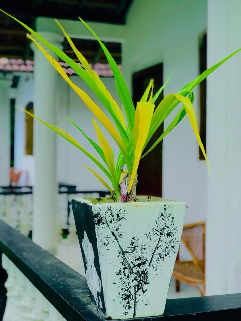 Freedom192 Hotel Weligama Ruang foto