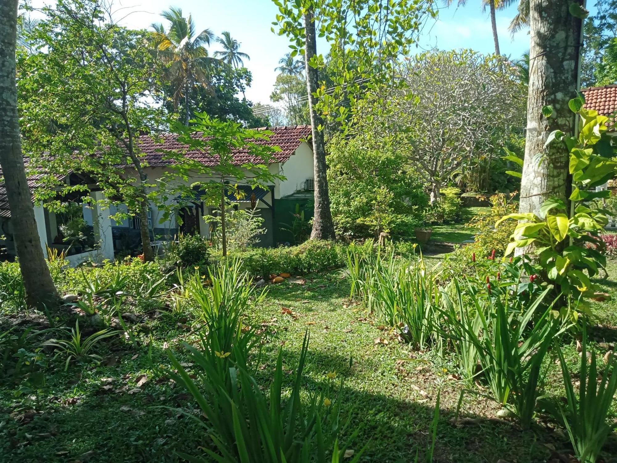 Freedom192 Hotel Weligama Bagian luar foto