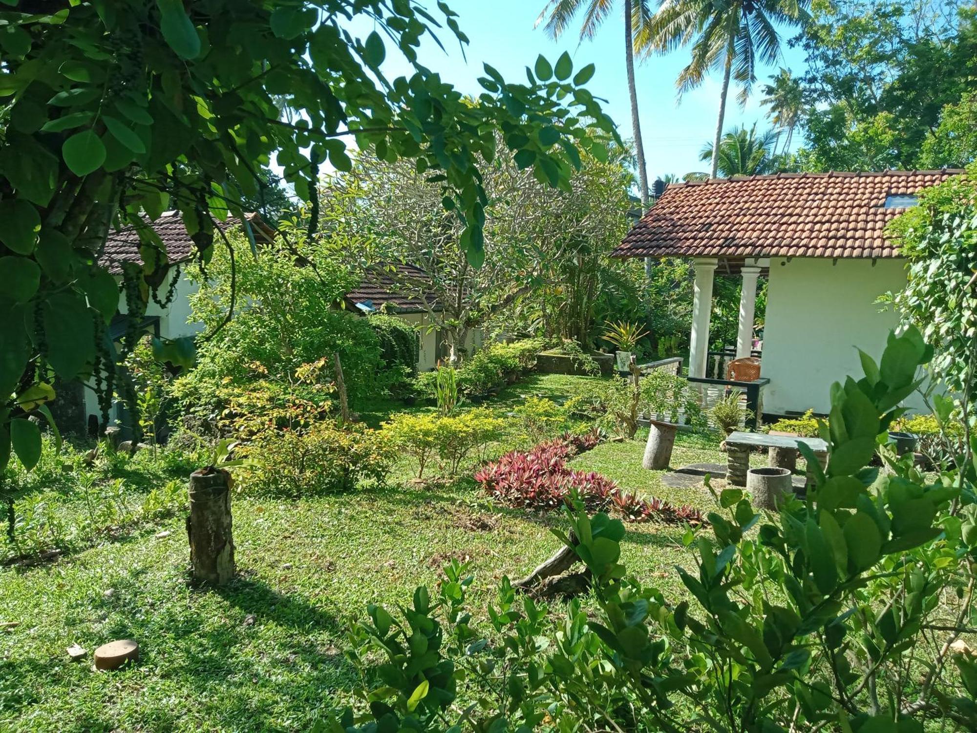 Freedom192 Hotel Weligama Bagian luar foto